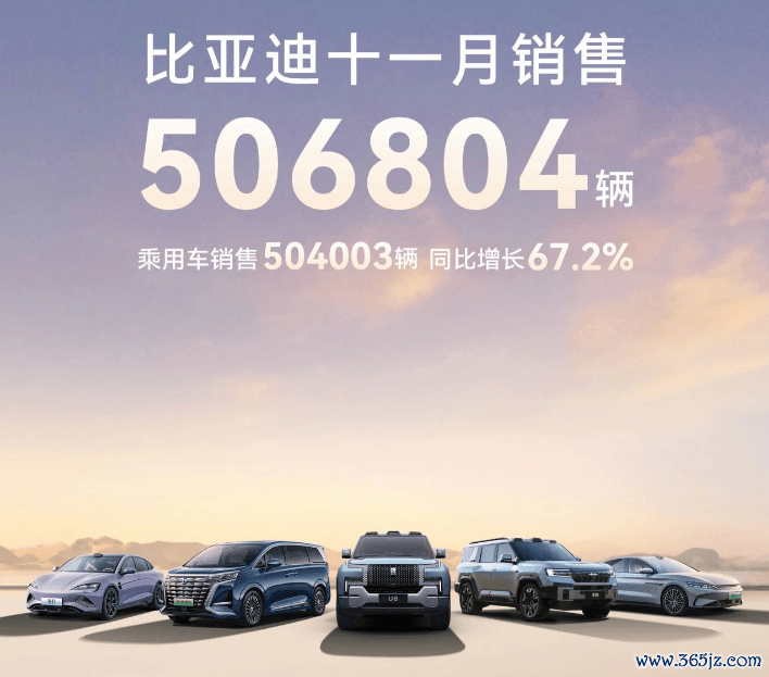 11月销量晴雨表，结伴与自主的喜乐不重复