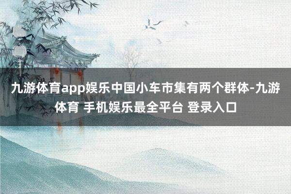九游体育app娱乐中国小车市集有两个群体-九游体育 手机娱乐最全平台 登录入口