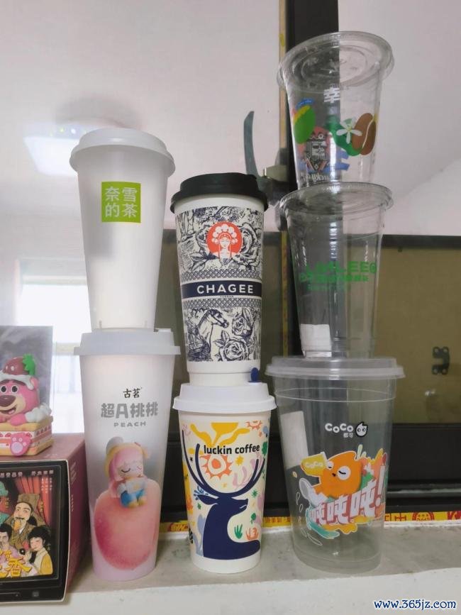 女子用奶茶杯水培多样蔬菜 网友：养花的绝顶是种菜