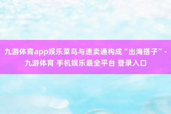 九游体育app娱乐菜鸟与速卖通构成“出海搭子”-九游体育 手机娱乐最全平台 登录入口