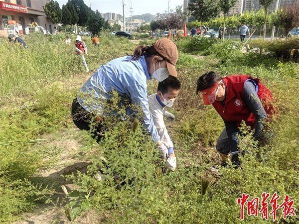 九游体育娱乐网政府部门防卫到秋季蒿草花粉过敏这一高提问题-九