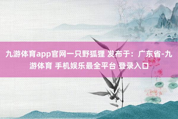 九游体育app官网一只野狐狸 发布于：广东省-九游体育 手机