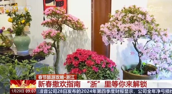 九游体育app官网一边赏花一边感受传统文化的韵味-九游体育 