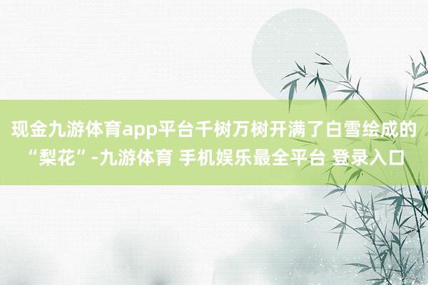 现金九游体育app平台千树万树开满了白雪绘成的“梨花”-九游